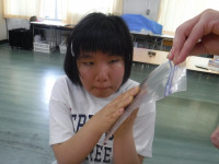 DSCF2933  Ⅱ