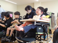 DSC01786  Ⅱ  Ⅱ