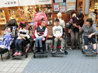 CIMG9251 Ⅱ