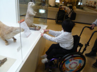 P1340170 Ⅱ