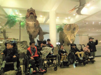 DSCF1733 Ⅱ (25)