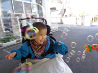 DSC08188  Ⅱ