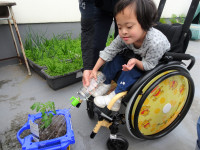 DSC00474  Ⅱ