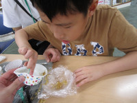 IMG_0069 Ⅱ Ⅱ