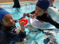 IMGP0379 Ⅱ