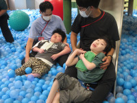 ☆IMG_0261  Ⅱ