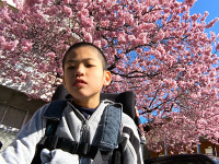 0303 桜の木の下でⅡ (7)